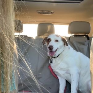 Meet your Posher, Mackenzie